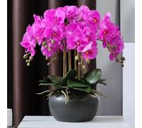 Flores Artificiales Flores Orquídeas Falsas 17in/18in Flor Artificial con macetas de cerámica Flores Artificiales Flores Orquídea Artificial PU Falso FL (M