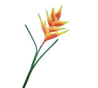 Flores artificiales grandes de 86 cm con tallo de heliconia de pájaro del paraíso, 1 tallo, 7 pétalos, flores falsas, flores permanentes, plantas vegetarianas, oficina, decoración de boda (naranja)