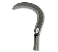 Flores Cortés - Tajamata gallego