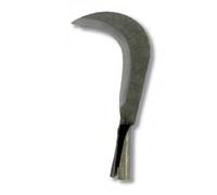 Flores Cortés - Tajamata mlo.cc-c 230x60 mms.