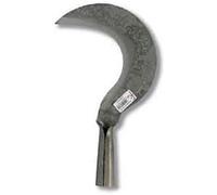 Flores Cortés - Tajamata n.6 190x65x130 mms.