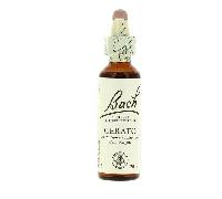 Bach Flores de Bach Cerato 05 – Extracto de flores – 20 ml