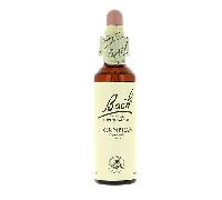 Bach Complemento alimenticio Flores de Bach Hornbeam (Hojarazo) 20 ml – 27% vol