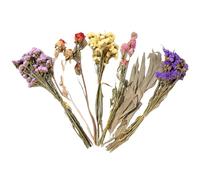 Flores de Cama de hámster | Decoración Natural de Jaula de Chinchilla | Decoración de hábitat de Animales pequeños | para Bodas de pájaros, Camping, temáticas, Navidad, Pascua, Festivales de