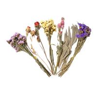 Flores de cama para hámster, decoración de jaula de jerbo natural, decoración de hábitat de animales pequeños, para bodas, camping, fiestas temáticas, vacaciones, festivales de arte, padres de