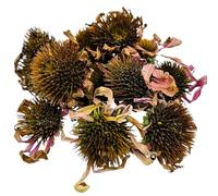 Flores de Equinácea Secas Premium 25g - 1,95Kg - 100% Natural echinacea Purpurea (1950 gramos)