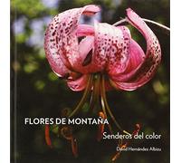 Flores De Montaña. Senderos Del Color