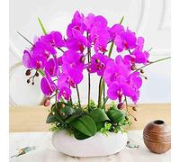 Flores de orquídeas artificiales con jarrón, arreglo de orquídea falsa de seda Phalaenopsis Arreglo floral para la mesa de la casa decoración de la boda para la mesa de la casa Decoración del
