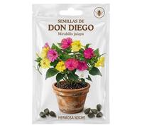 Flores de Verano para Jardín y Balcón con Semillas de Don Diego - Jardinería Doméstica DECOALIVE