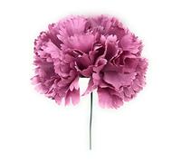 Flores Flamencas Claveles Grandes Flor Artificial Típica Feria de Abril Sevilla Flor Flamenca para el Pelo Mujer El Rocío Baile Flamenco y Sevillanas, Clavel Grande Malva Oscuro Ø13cm