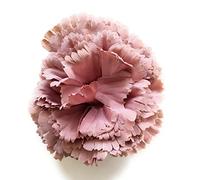 Flores Flamencas Claveles Típicas para Pelo de Mujer - Flor Artificial para Feria de Abril Sevilla, Baile Flamenco y Sevillanas - Clavel Berenjena Ø9cm