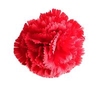 Flores Flamencas Claveles Típicas Pelo Mujer Flor Flamenca Clavel Feria de Abril Sevilla Flor Artificial Baile Flamenco y Sevillanas, Clavel Rojo Ø9cm