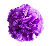 Flores Flamencas Claveles Típicas Pelo Mujer Flor Flamenca Clavel Feria de Abril Sevilla Flor Artificial Baile Flamenco y Sevillanas, Clavel Lila Ø9cm