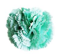 Flores Flamencas Claveles Típicas Pelo Mujer Flor Flamenca Clavel Feria de Abril Sevilla Flor Artificial Baile Flamenco y Sevillanas, Clavel Verde Agua Ø9cm