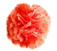Flores Flamencas Claveles Típicas Pelo Mujer Flor Flamenca Clavel Feria de Abril Sevilla Flor Artificial Baile Flamenco y Sevillanas, Clavel Naranja Ø9cm