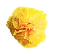 Flores Flamencas Claveles Típicas Pelo Mujer Flor Flamenca Clavel Feria de Abril Sevilla Flor Artificial Baile Flamenco y Sevillanas, Clavel Amarillo Ø9cm