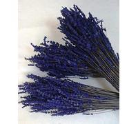 flores frescas online Ramos Lavanda Natural Preservada 3 Unidades Portes Gratis