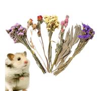 Flores naturales para hámsteres - Ropa de cama para hámster | Accesorios de jaula de flores secas - Naturalmente, desodorización de verano y suministros de paisajismo para animales pequeños