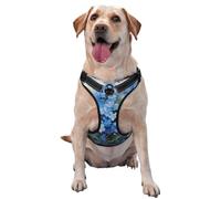 Flores no me Olvides en Acuarela,Arnés para Mascotas, arnés Reflectante Ajustable para Perros,XL