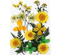 Flores prensadas secas, Decoraciones Florales, 1 Juego de Parches, Tarjetas, Materiales Flores, fabricación Velas , Resina sobre el Estuche, artesanía Artesanal, marcapáginas Amarillo