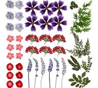 Flores Prensadas Secas Reales Flores Hojas Secas Coloridas Flor Seca Natural Múltiple para Bricolaje Fabricación Resina Epoxica Manualidades Joyería Colgante Uñas Decoración