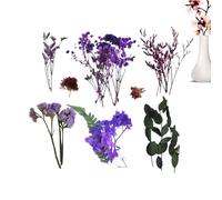 Flores secas con flores silvestres naturales conservadas | Decoración de temporada para bodas jardines mercados Navidad