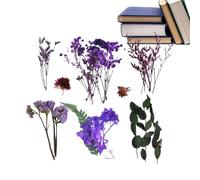 Flores Secas Con | Flores Silvestres Secas Conservadas Con - Decoración De Temporada Para Bodas Jardines Mercados Navidad