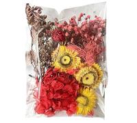 Flores Secas - Flores Prensadas Secas Reales | Colorido Conjunto De Artesanías Para Centros De Mesa De Bodas | Accesorios De Artesanía De Bricolaje | Decoraciones Florales Para Diario, Álbumes De Reco