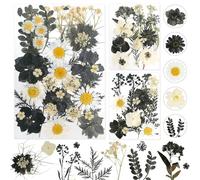 Flores Secas Flores Preservadas Flores Secas Naturales Flores Preservadas Naturales para Resina para DIY Scrapbooking Manualidades Bisutería Decoraciones (Negro)