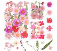 Flores Secas Flores Preservadas Flores Secas Naturales Flores Preservadas Naturales para Resina para DIY Scrapbooking Manualidades Bisutería Decoraciones (Rosa)