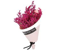 Flores secas- Flores secas Naturales Mini Ramo de Flores Decoración de la Boda Accesorios de Fotos (Rosy)