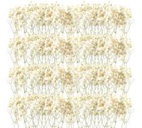 Flores Secas Manualidades - Flores Secas Decoracion Elegantes y Naturales, Paniculata Preservada para Todo Tipo de Decoraciones