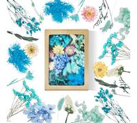 Flores Secas Manualidades Flores Secas Flores Preservadas Naturales Flores Secas Naturales Flores Prensadas para Resina Set para DIY Álbumes Velas Scrapbooking (Azul)
