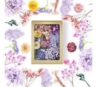Flores Secas Manualidades Flores Secas Flores Preservadas Naturales Flores Secas Naturales Flores Prensadas para Resina Set para DIY Álbumes Velas Scrapbooking (Morado)