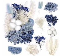 Flores Secas Naturales Flores Secas Mezcladas Juego Flores Preservadas Flores Secas Manualidades para DIY Decoración Tarjetas Álbum Recorte Velas Manualidades