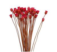 Flores secas Naturales, Ramo de Margaritas Secas Flores Naturales Decoración en Florero Mesa Floral 50 Tallos Rojo