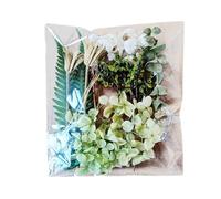 Flores Secas Naturales - Surtido De Hojas Florales Vividas, Materiales Artísticos Prensados | Paquete Estético Botánico, Tema para Crear Manualidades, Piezas Decorativas Mixtas, Kit Inspirado En