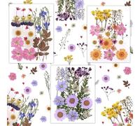 Flores Secas Prensadas, 66 Naturales Flores Prensadas Secas, Manualidades DIY Repujado, Flores Secas Decoracion, para Resina, Arte de Uñas, Decoraciones, Marcapáginas, Velas, Joyas