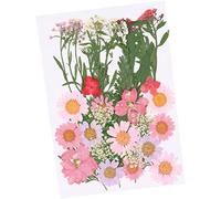 Flores secas prensadas, decoraciones florales, 35 piezas de resina for estampar uñas, muestras de plantas secas prensadas, material de bricolaje, resina de margaritas epoxi for hacer flores