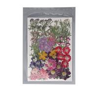 Flores Secas Presionadas, Kit 110 Piezas, 18 Tipos Naturales y Elegantes - Creatividad Manual, Empaque Seguro para Manualidades y Decoración