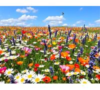 Flores Silvestres del Paisaje Puzle de 60 Piezas 40x28 cm - Rompecabezas DIY Pintura, Entretenimiento Creativo Adultos Mayores de 14 años Decoración del Hogar