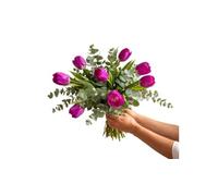 FLORES SOLIDARIAS - Ramo De Tulipanes Naturales - Ramo De Flores - 10 Tulipanes Eucalipto Violeta - Ramos De Flores Naturales A Domicilio - Regalos San Valentin - Envio 24H