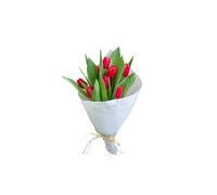 FLORES SOLIDARIAS - Ramo De Tulipanes Naturales - Ramo De Flores - 10 Tulipanes Tallos Rojo - Ramos De Flores Naturales A Domicilio - Regalos San Valentin - Envio 24H