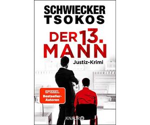 Florian Schwiecker Prof. Dr. Michael Der dreizehnte Mann: Justiz (Tapa blanda)