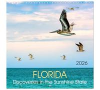Florida - Discoveries in the Sunshine State (Wall Calendar 2026 12" x 24" / 30 x 60 cm (Open)) CALVENDO 12 Month Wall Calendar