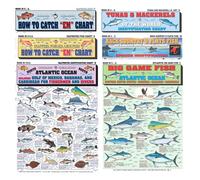 Florida - Juego de tablas de identificación de peces de agua salada - Guías de pesca de referencia rápida impermeables - Más de 80 especies ID - Doble cara y fácil de leer - Gran regalo para