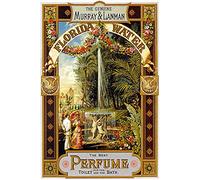 Florida Water The Genuine Murray And Lanman Perfume Fountain - Letrero de metal para decoración de baño, mural vintage, 8 x 12 pulgadas