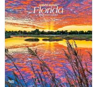 Florida Wild & Scenic | 2027 12 x 24 Inch (Hanging) Monthly Square Wall Calendar | Plastic-Free | BrownTrout | USA United States of America Southeast State Nature