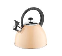 FLORINA Tetera BRILLO (2 l) | Acero inoxidable | Hervidor de flauta con mango de baquelita | tetera para cocina de inducción, encimera de gas y cocina eléctrica | color: Melocotón