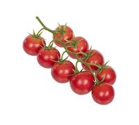 FloristryWarehouse artificiales cereza Tomates 9 rojo frutas sobre la viña 21 cm/8,25 pulgadas Mock verano frutas